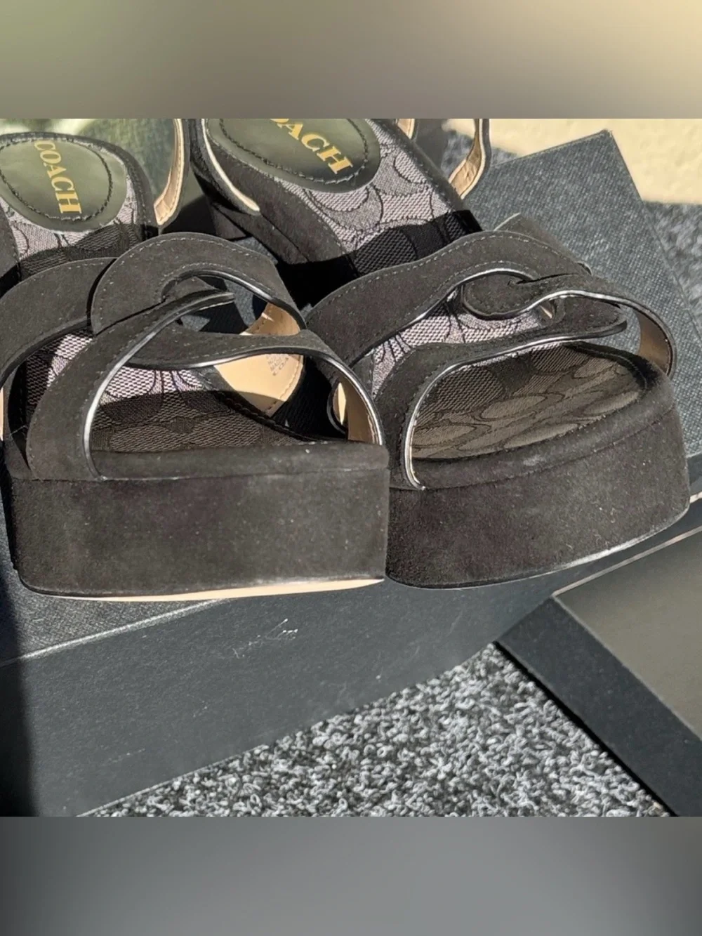 Coach Talina Suede Black Platform Sandals